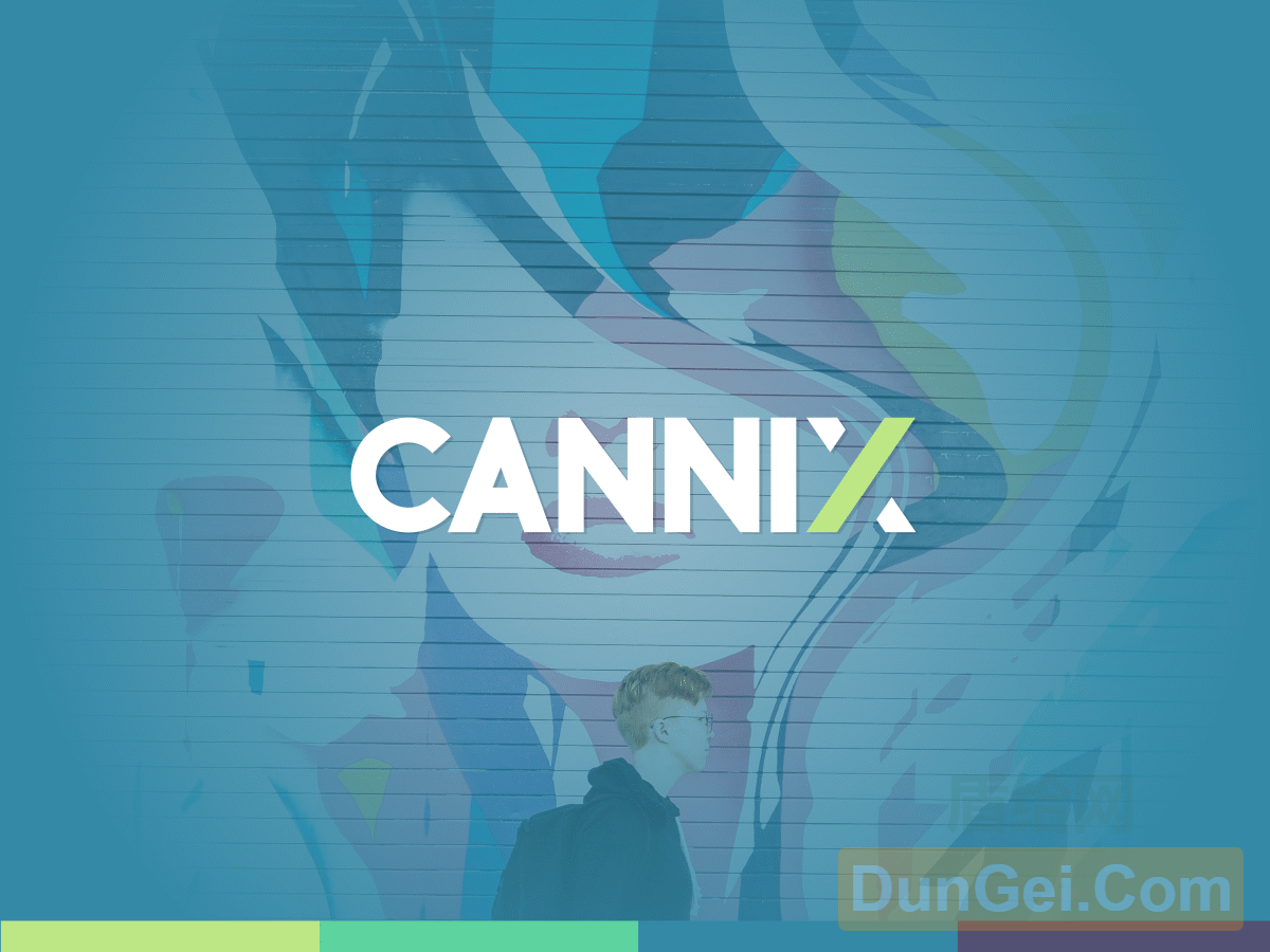 Cannix – 一个充满活力的WordPress主题，适用于创意博客[WordPress主题]