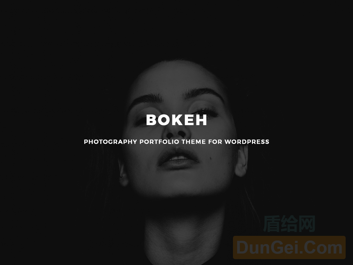 Bokeh:摄影作品集wordpress主题转自NPCINK[Wordpress主题]