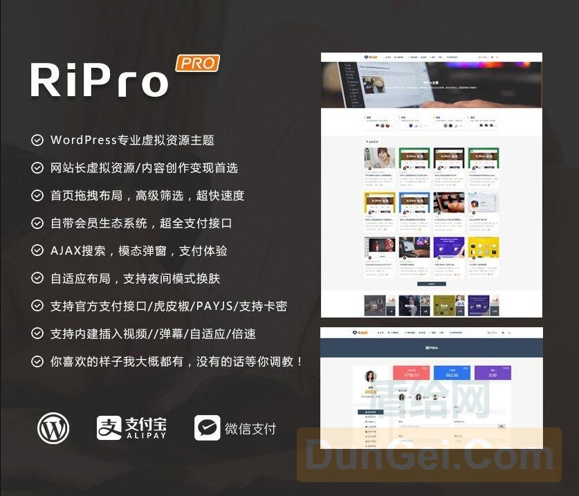 最新RiPro6.2主题破解授权无限制版本 修复暗链版！[Wordpress主题]-度崩网-几度崩溃