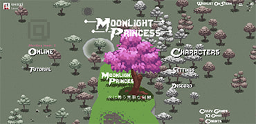 多人联机砍怪大作战-Moonlight Princess
