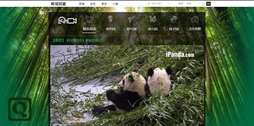 成都大熊猫繁育研究基地-iPanda-度崩网-几度崩溃